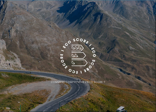 How to understand the eco score ?